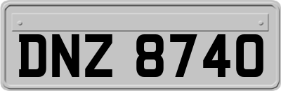 DNZ8740