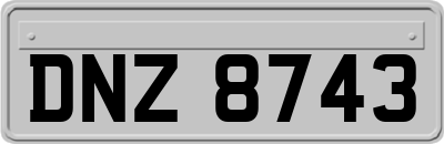DNZ8743