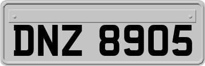 DNZ8905