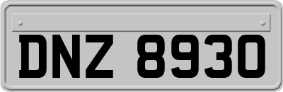 DNZ8930
