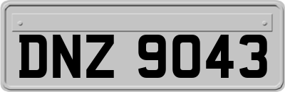 DNZ9043