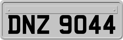 DNZ9044