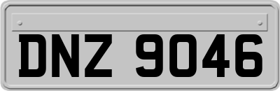 DNZ9046