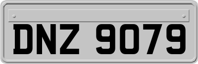 DNZ9079