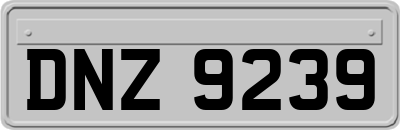 DNZ9239