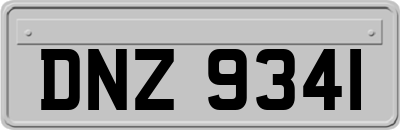 DNZ9341