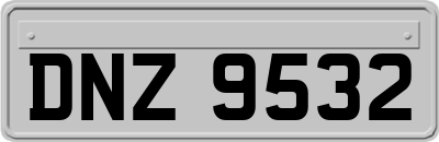 DNZ9532