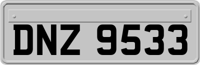 DNZ9533