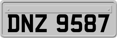 DNZ9587