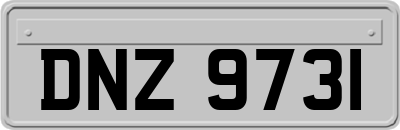 DNZ9731