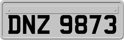 DNZ9873