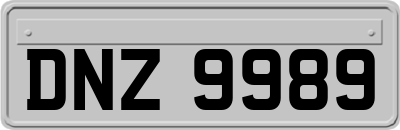 DNZ9989