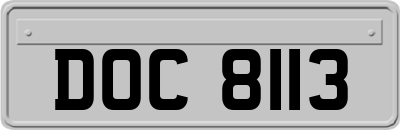 DOC8113