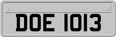 DOE1013