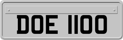 DOE1100
