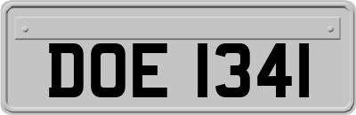 DOE1341