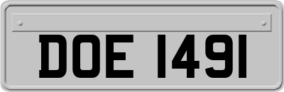 DOE1491