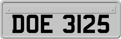 DOE3125