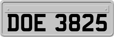 DOE3825