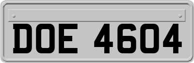 DOE4604