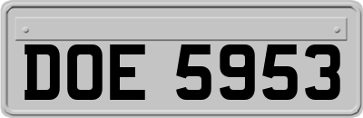 DOE5953