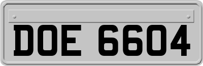 DOE6604