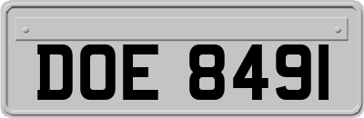 DOE8491