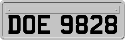 DOE9828