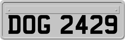 DOG2429