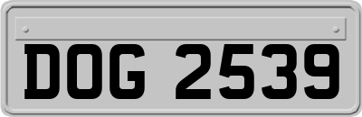 DOG2539