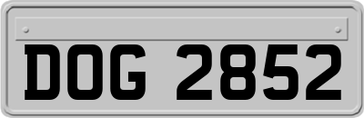 DOG2852