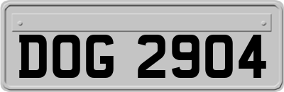 DOG2904