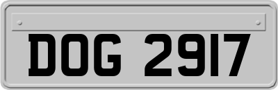 DOG2917