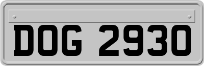 DOG2930