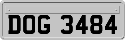 DOG3484