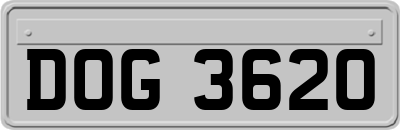 DOG3620
