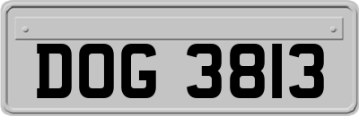 DOG3813