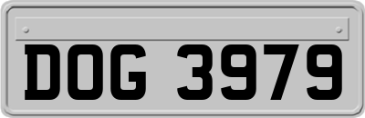 DOG3979