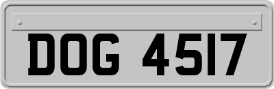 DOG4517