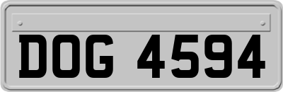 DOG4594