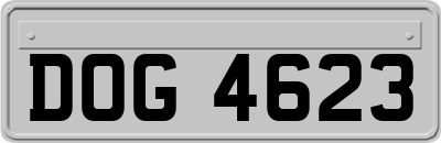 DOG4623