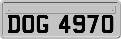 DOG4970