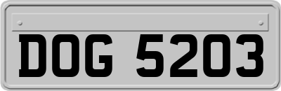 DOG5203