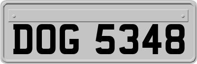 DOG5348