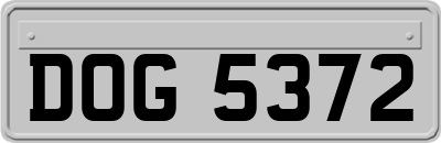 DOG5372