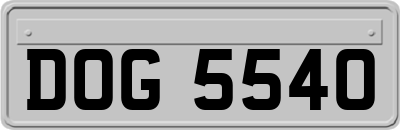 DOG5540