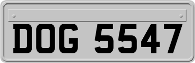 DOG5547