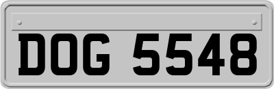 DOG5548