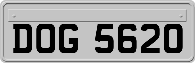 DOG5620