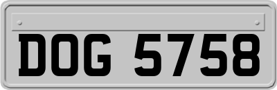 DOG5758